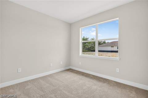 1833 Summerlit Ave, Naples FL - photo 13 of 32