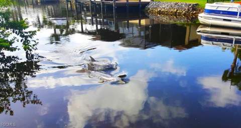 5471 Harborage Dr, Fort Myers FL - photo 9 of 50