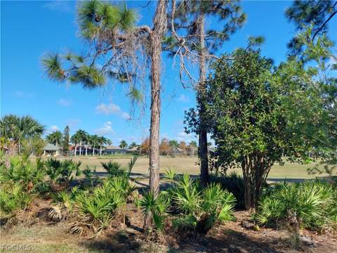 3333 Magnolia Landing Ln, North Fort Myers FL - photo 24 of 24