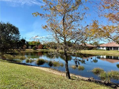 12580 Fairington Way, Fort Myers FL - photo 12 of 45