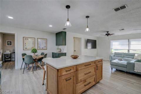 305 SE 14th Ter, Cape Coral FL - photo 14 of 44
