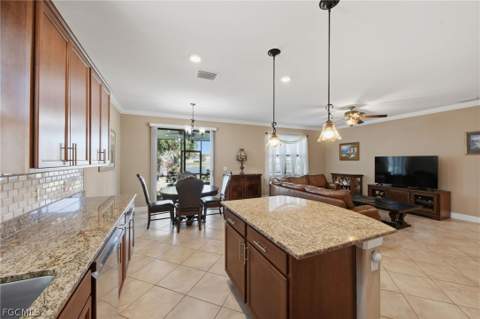16091 Mistflower Dr, Alva FL - photo 16 of 47