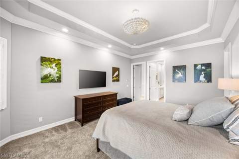 8985 Star Tulip Ct, Naples FL - photo 21 of 50