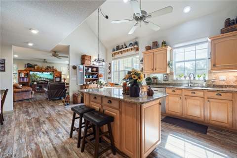 22800 N River Rd, Alva FL - photo 7 of 50