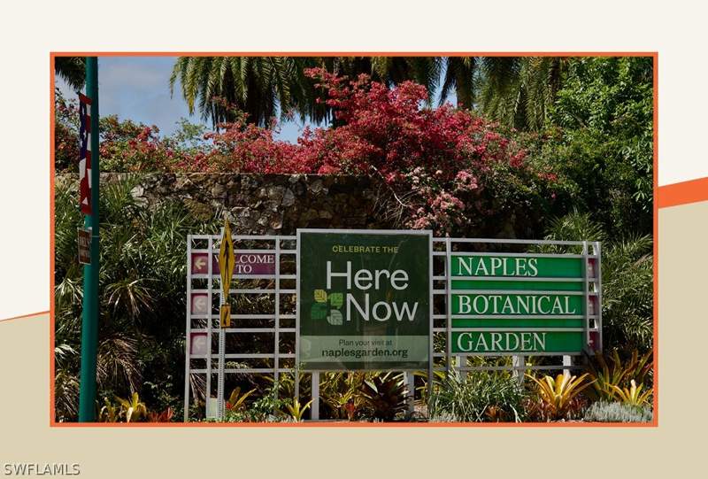 4 bedroom SingleFamilyResidence at 3732 Grove Cir, The Grove Bayshore, Naples — photo 5
