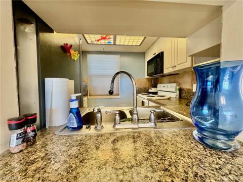 1724 Pine Valley Dr 308, Fort Myers FL - photo 9 of 42