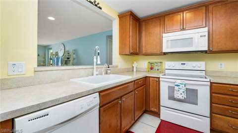 15127 Reef Ln, Bonita Springs FL - photo 10 of 47