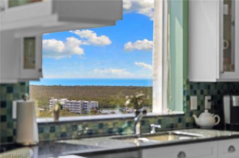 430 Cove Tower Dr 1501, Naples FL - photo 6 of 44