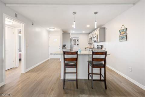 8761 Lueck Ln 3, Fort Myers FL - photo 10 of 46