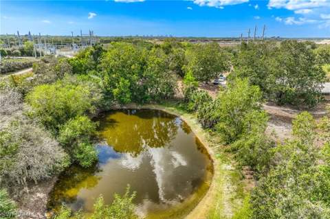 26118 Cutting Horse Ln, Bonita Springs FL - photo 11 of 21