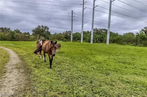 26118 Cutting Horse Ln, Bonita Springs FL - photo 7 of 21