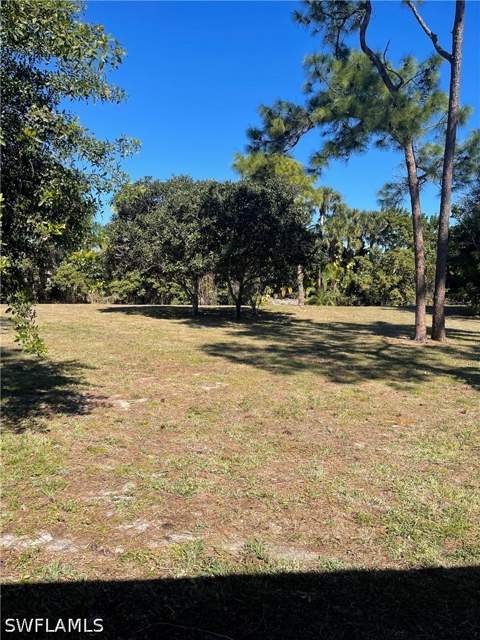 1095 Pine Isle Ln 1095, Naples FL - photo 9 of 10