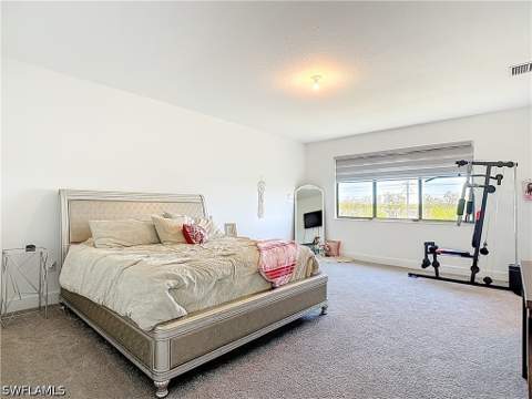 4970 Jovanne St, Ave Maria FL - photo 18 of 26