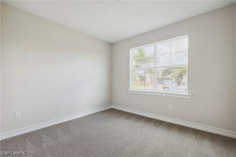 16921 Elkhorn Coral Dr, North Fort Myers FL - photo 13 of 50