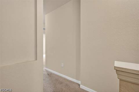 10285 Via Colomba Cir, Fort Myers FL - photo 21 of 47