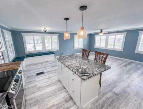11291 Bougainvillea Ln, Fort Myers Beach FL - photo 10 of 46