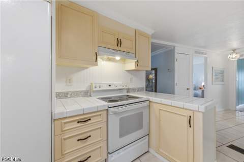 502 Pine Tree Ct, North Fort Myers FL - photo 14 of 35