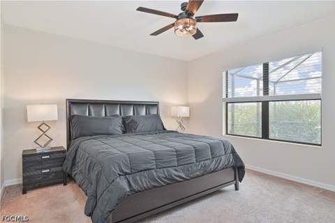 10792 Firebush Cir, North Fort Myers FL - photo 20 of 35