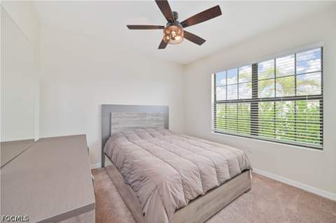 10792 Firebush Cir, North Fort Myers FL - photo 23 of 35