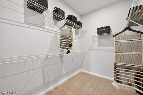 1541 Panoramic Vista Ave, Naples FL - photo 9 of 25