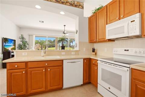 9221 Spanish Moss Way, Bonita Springs FL - photo 12 of 40