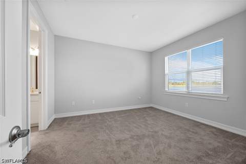 1073 Tranquil Brook Dr, Naples FL - photo 17 of 24