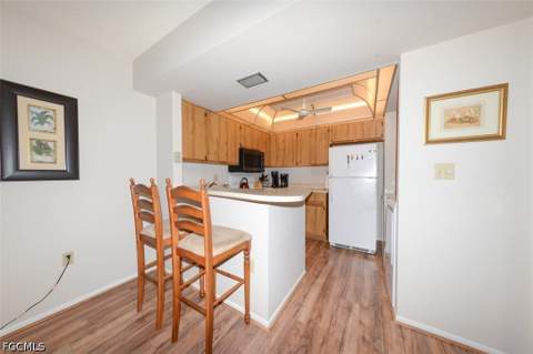 10891 Meadow Lark Cove Dr, Fort Myers FL - photo 10 of 49