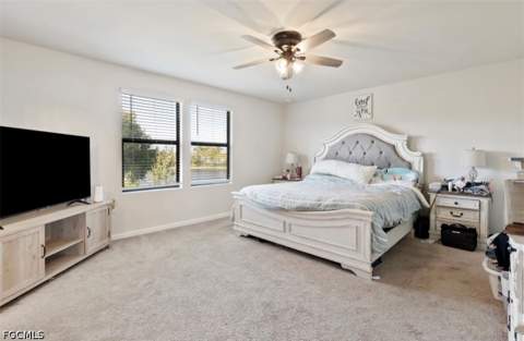 10804 Firebush Cir, North Fort Myers FL - photo 12 of 23