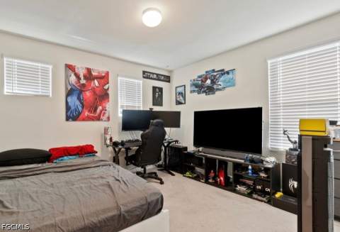 10804 Firebush Cir, North Fort Myers FL - photo 13 of 23