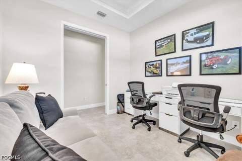 2615 Vareo Ct, Cape Coral FL - photo 22 of 47