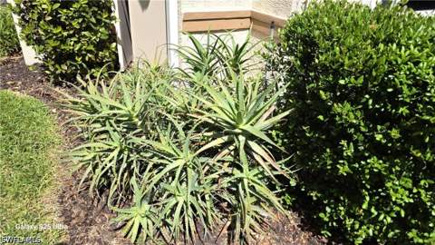 9060 Palmas Grandes Blvd 106, Bonita Springs FL - photo 11 of 19