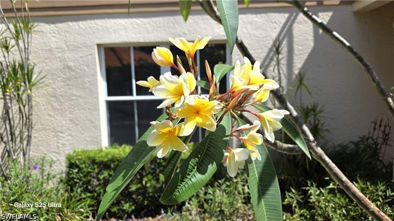 2 bedroom Condominium at 9060 Palmas Grandes Blvd 106, Las Brisas At Spanish Wells, Bonita Springs — photo 4