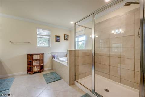3613 Valle Santa Cir, Cape Coral FL - photo 21 of 48