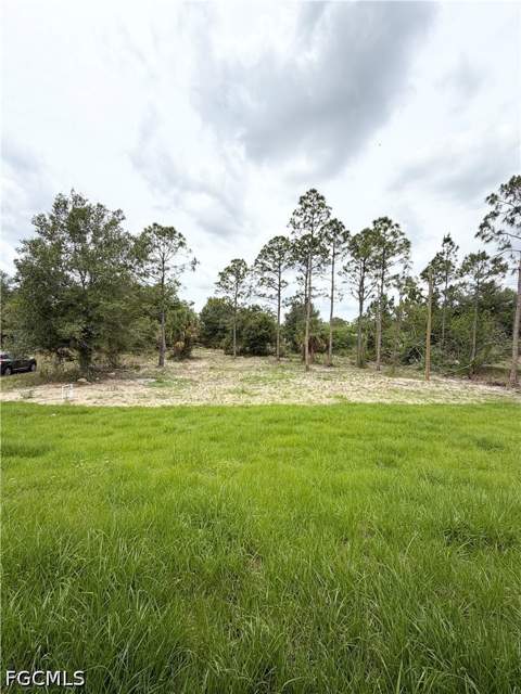 1013 Lincoln Ave, Lehigh Acres FL - photo 6 of 30