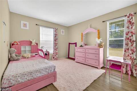 713 Canton Ave, Lehigh Acres FL - photo 19 of 29