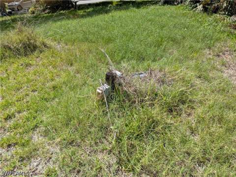 17191 Frank Rd, Alva FL - photo 7 of 28