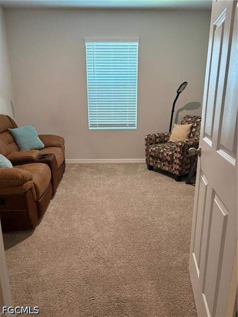 20352 Camino Torcido Loop, North Fort Myers FL - photo 19 of 48
