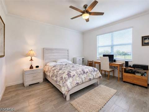 16141 Rosemallow Ln, Alva FL - photo 19 of 41