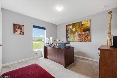 3620 NW 42nd Ter, Cape Coral FL - photo 22 of 28