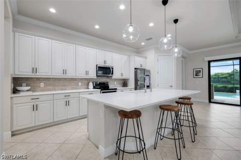 4118 Raffia Dr, Naples FL - photo 10 of 45