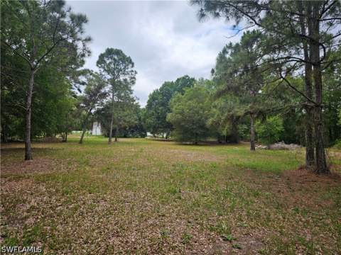 509 Bald Cypress Ave, Clewiston FL - photo 18 of 20