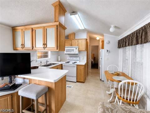334 Blue Spring Ter, North Fort Myers FL - photo 6 of 18