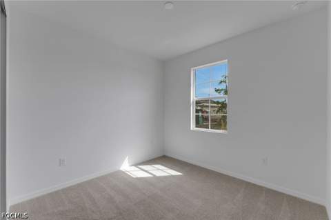 16938 Squirrel Branch Ln, Alva FL - photo 9 of 44