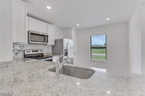 219 NW 25th Ter, Cape Coral FL - photo 23 of 42