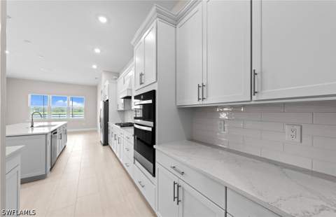 7335 Blue Salvia Dr, North Fort Myers FL - photo 9 of 47