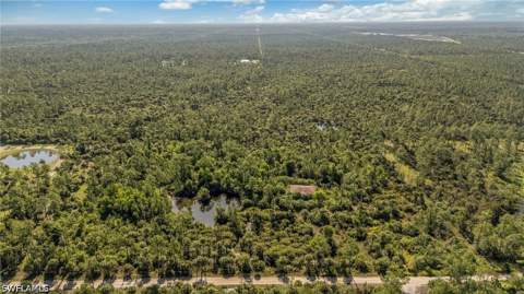 6010 Lee Williams Rd, Naples FL - photo 6 of 15