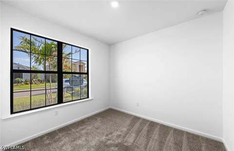 3849 Passion Vine Dr, Alva FL - photo 19 of 33