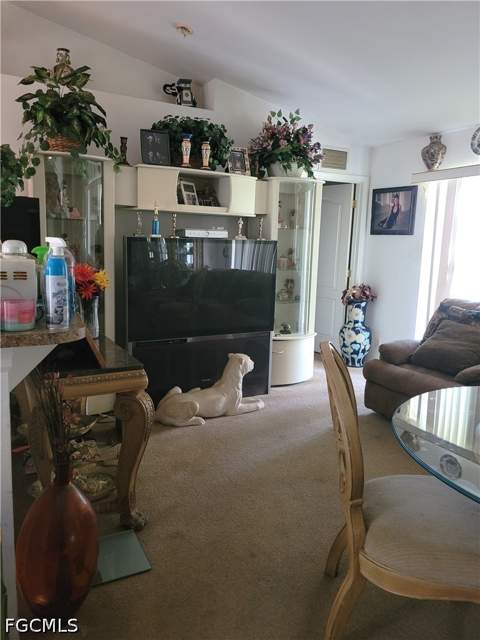 313 SW 14th Pl, Cape Coral FL - photo 8 of 20