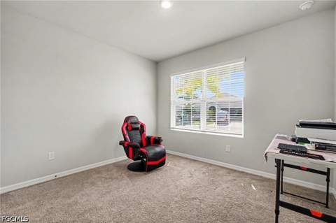 20313 Camino Torcido Loop, North Fort Myers FL - photo 10 of 24