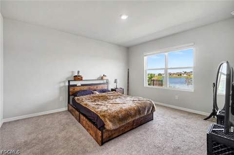 20313 Camino Torcido Loop, North Fort Myers FL - photo 7 of 24